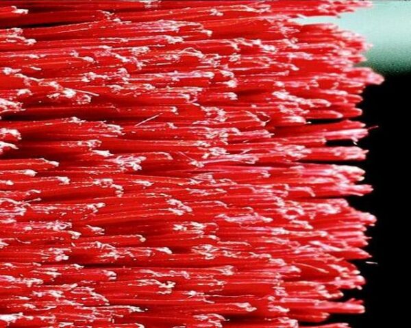 <div class="notranslate">Ecoclean: PBT</div> - immagine 4